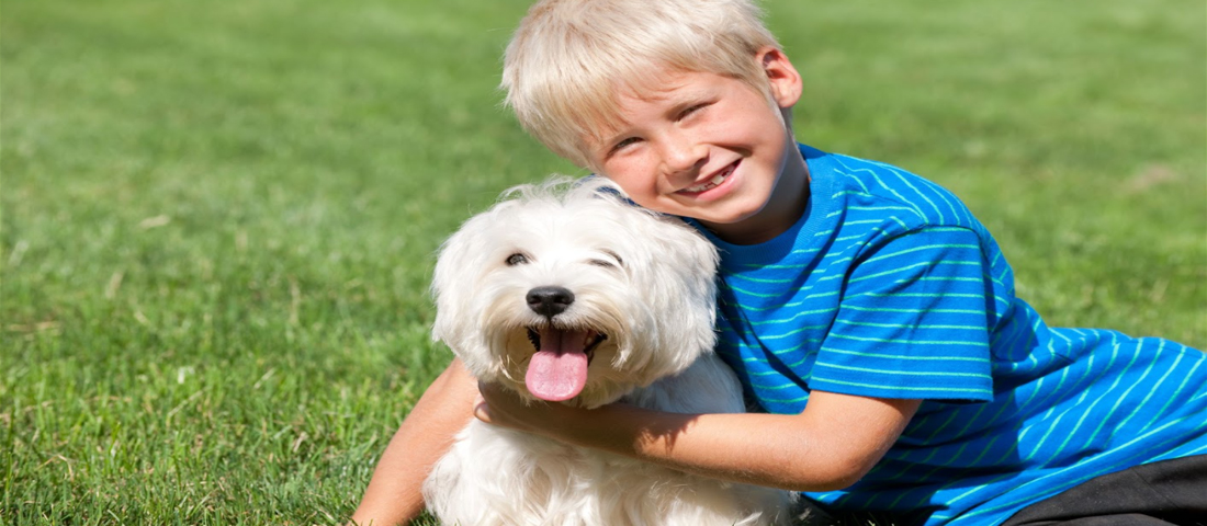 Kids and Pets - Hotel Policy